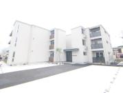 sakura terrace