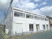 コーラル・ヘッド