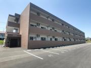 GardenCourt Ciruela