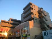PIA TOWN 21
