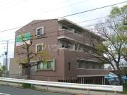 フォレストインサイドV