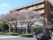 佐藤ビル