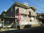 プラシードS