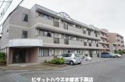 ファーストフィールド
