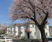 原宅貸家 1号棟