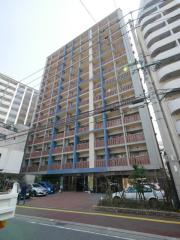 サヴォイ テンジンスクワイヤー