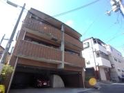 ベルトゥリー岡本
