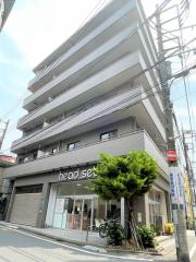 シェルブルー