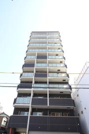 Zefir Ozone