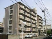 メルローズ30