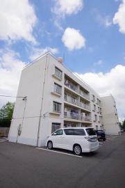 eーlux MIYAKO