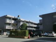 都営大江戸線光が丘駅まで徒歩11分