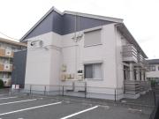 Lumiele III