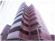 パレス東洋上甲子園