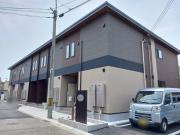 パイン フォレスト