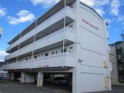 ブライトライツ高島パートII