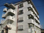 リード大町