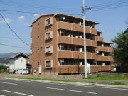 エール19