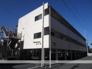 ベルカンプ東大洲