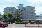 セブンスターマンション金町