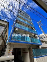 Paulownia Valley take4西横浜