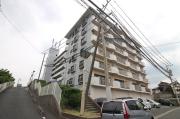 フジエホワイトローザ熊谷