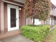 Ajour Pal Dアジュールパル