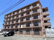 静岡県浜松市中央区新橋町