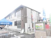 椿