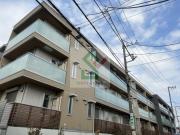 ステラ美光