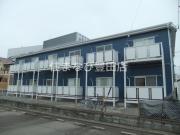 Surplus One 中根