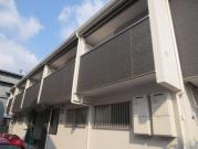 ルシアグレース