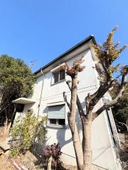 西宮市青葉台 ペットと暮らす庭付戸建