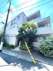 フィカーサ いちょうの木