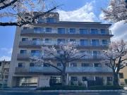 エストゥルース府中