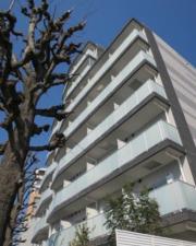 HY′s Salire 用賀