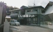 チェリーブロッサム