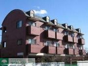 シティーハイツ ミモザ