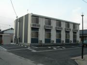 三井泉