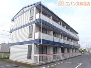 Lily浜野