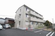 フロール花水木