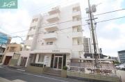 シャトレーしょうこう