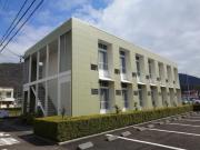 Hayashi