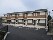 エヴァーグリーン光林