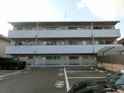 フジハイツ