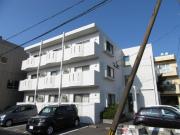 SUNNY SPOT 霧島