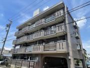 シャトレ大針