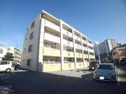 Casa M