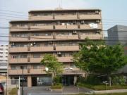 パラシオン平野