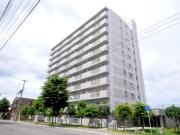 シャローム